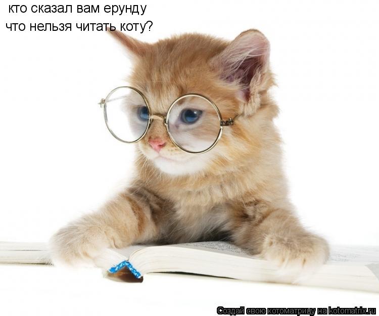 кто сказал вам ерунду что нельзя читать коту?... Котоматрица: кто сказал вам ерунду что нельзя читать коту?