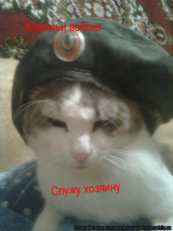 Кошачьи войска Кошачьи войска Служу хозяину Служу хозяину... Котоматрица: Кошачьи войска Кошачьи войска Служу хозяину Служу хозяину