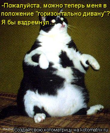 -Пожалуйста, можно теперь меня в положение "горизонтально дивану"? Я бы вздремнул...... Котоматрица: -Пожалуйста, можно теперь меня в положение "горизонтально дивану"? Я бы вздремнул...