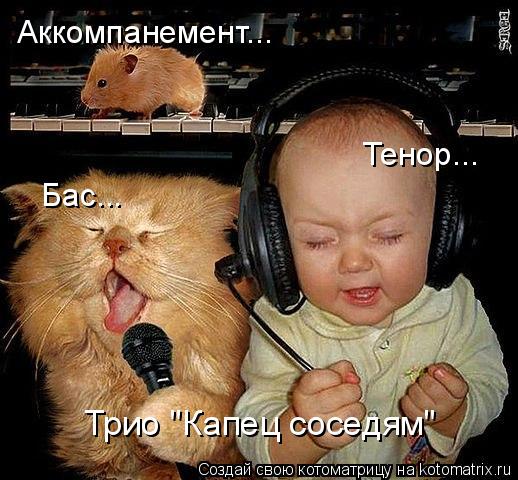 Котоматрица: Бас... Тенор... Аккомпанемент... Трио "Капец соседям"