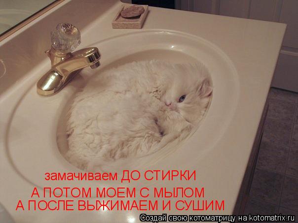 замачиваем ДО СТИРКИ А ПОТОМ МОЕМ С МЫЛОМ А ПОСЛЕ ВЫЖИМАЕМ И СУШИМ... Котоматрица: замачиваем ДО СТИРКИ А ПОТОМ МОЕМ С МЫЛОМ А ПОСЛЕ ВЫЖИМАЕМ И СУШИМ