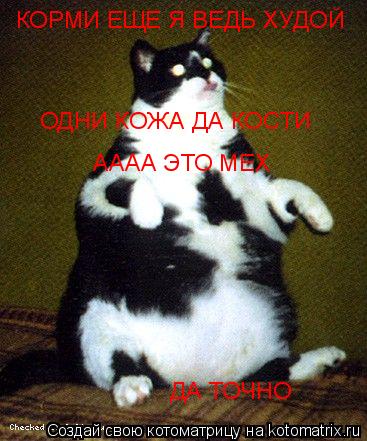 КОРМИ ЕЩЕ Я ВЕДЬ ХУДОЙ КОРМИ ЕЩЕ Я ВЕДЬ ХУДОЙ ОДНИ КОЖА ДА КОСТИ АААА ЭТО МЕХ ДА ТОЧНО... Котоматрица: КОРМИ ЕЩЕ Я ВЕДЬ ХУДОЙ КОРМИ ЕЩЕ Я ВЕДЬ ХУДОЙ ОДНИ КОЖА ДА КОСТИ АААА ЭТО МЕХ ДА ТОЧНО