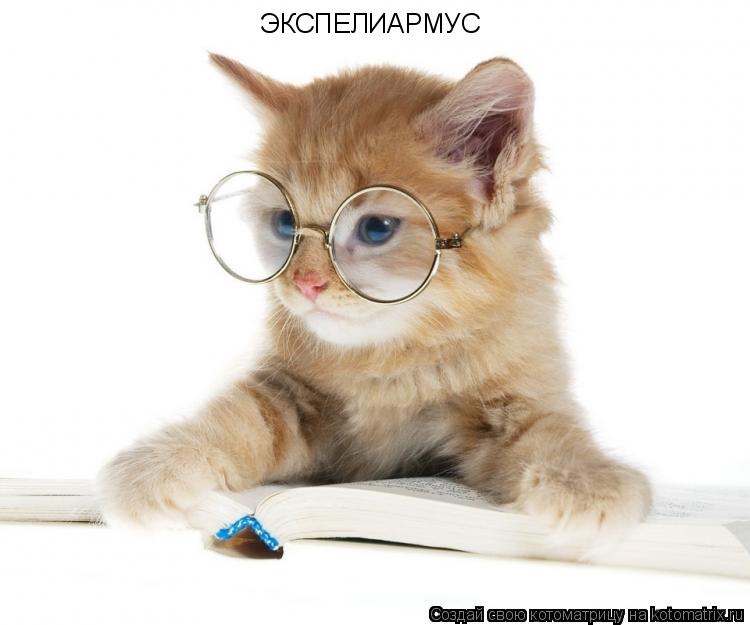 ЭКСПЕЛИАРМУС... Котоматрица: ЭКСПЕЛИАРМУС