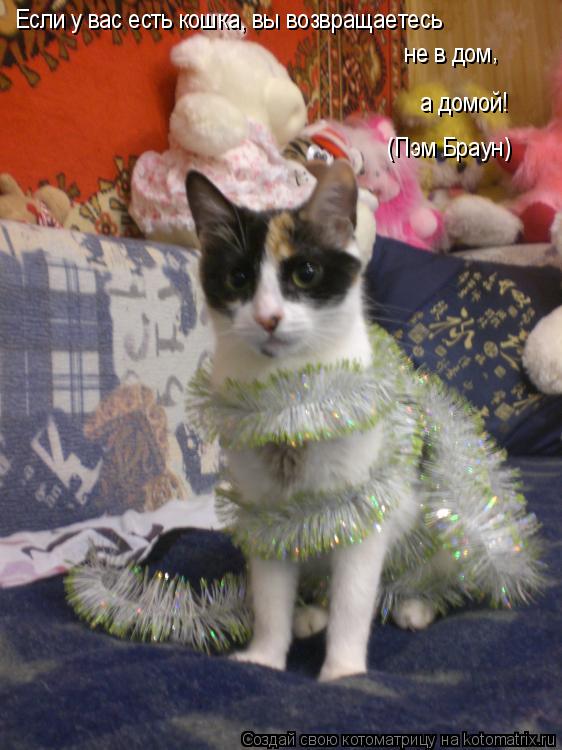 Если у вас есть кошка, вы возвращаетесь не в дом , а домой! (Пэм Браун)... Котоматрица: Если у вас есть кошка, вы возвращаетесь не в дом , а домой! (Пэм Браун)
