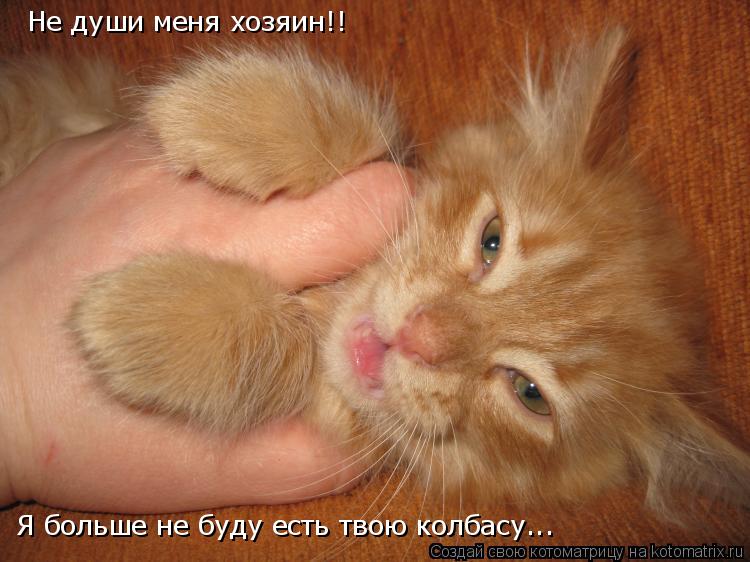 Не души меня хозяин!! Я больше не буду есть твою колбасу...... Котоматрица: Не души меня хозяин!! Я больше не буду есть твою колбасу...
