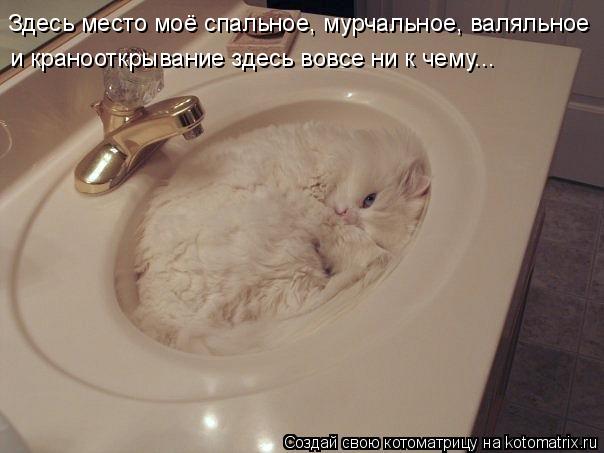 Здесь место моё спальное, мурчальное, валяльное и кранооткрывание здесь вовсе ни к чему...... Котоматрица: Здесь место моё спальное, мурчальное, валяльное и кранооткрывание здесь вовсе ни к чему...