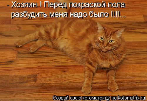 - Хозяин ! Перед покраской пола разбудить меня надо было !!!!...... Котоматрица: - Хозяин ! Перед покраской пола разбудить меня надо было !!!!...