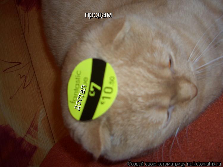 продам достал достал... Котоматрица: продам достал достал