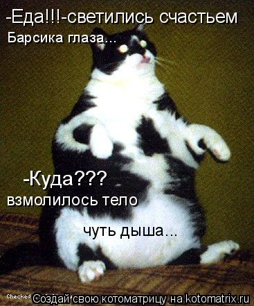 Барсика глаза... -Еда!!!-светились счастьем -Куда??? взмолилось тело чуть дыша...... Котоматрица: Барсика глаза... -Еда!!!-светились счастьем -Куда??? взмолилось тело чуть дыша...