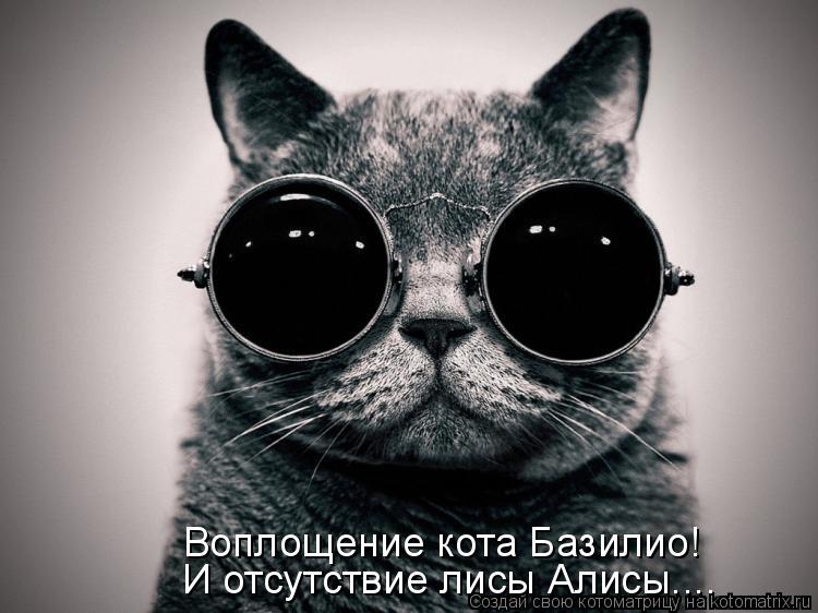 Воплощение кота Базилио! И отсутствие лисы Алисы....... Котоматрица: Воплощение кота Базилио! И отсутствие лисы Алисы....