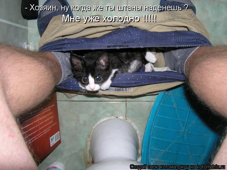 - Хозяин, ну когда же ты штаны наденешь ? Мне уже холодно !!!!!... Котоматрица: - Хозяин, ну когда же ты штаны наденешь ? Мне уже холодно !!!!!
