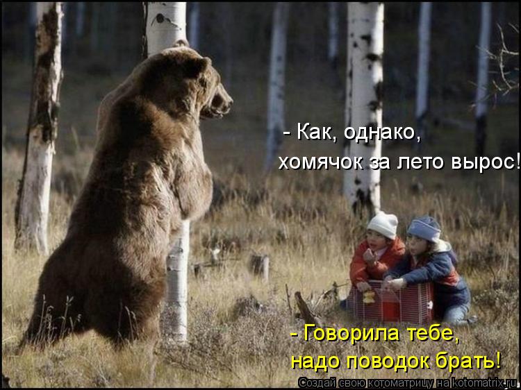 - Как, однако, хомячок за лето вырос! - Говорила тебе, надо поводок брать!... Котоматрица: - Как, однако, хомячок за лето вырос! - Говорила тебе, надо поводок брать!