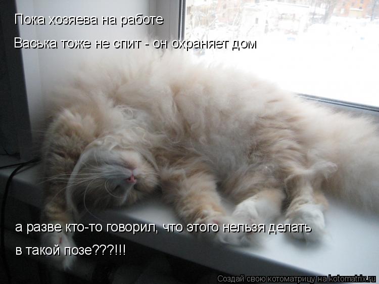 Пока хозяева на работе Васька тоже не спит - он охраняет дом а разве кто-то говорил, что этого нельзя... Котоматрица: Пока хозяева на работе Васька тоже не спит - он охраняет дом а разве кто-то говорил, что этого нельзя делать в такой позе???!!!