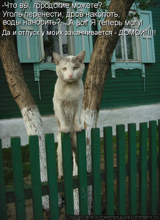 -Что вы, городские можете? Уголь перенести, дров наколоть, воды наносить? ... А вот Я теперь могу! ... Котоматрица: -Что вы, городские можете? Уголь перенести, дров наколоть, воды наносить? ... А вот Я теперь могу! Да и отпуск у моих заканчивается - ДОМОЙ!!!!!
