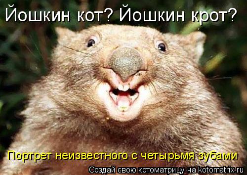 Йошкин кот? Йошкин крот? Портрет неизвестного с четырьмя зубами... Котоматрица: Йошкин кот? Йошкин крот? Портрет неизвестного с четырьмя зубами