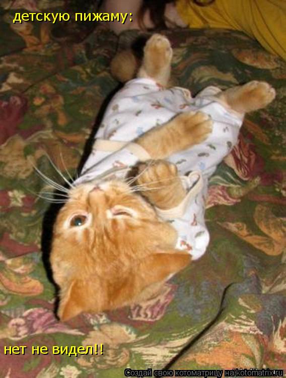 детскую пижаму: нет не видел!!... Котоматрица: детскую пижаму: нет не видел!!