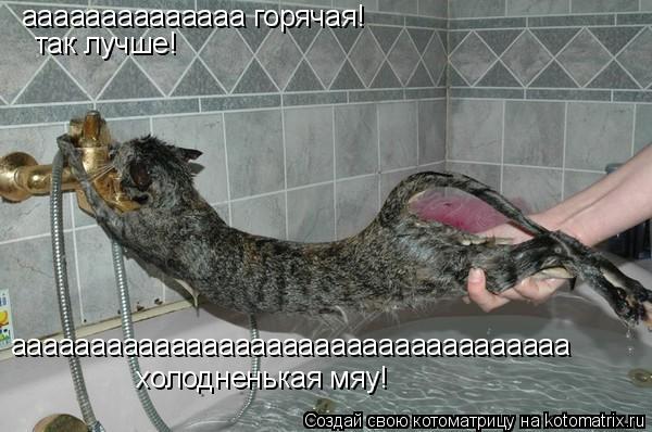 аааааааааааааа горячая! так лучше! ааааааааааааааааааааааааааааааааааа холодненькая мяу!... Котоматрица: аааааааааааааа горячая! так лучше! ааааааааааааааааааааааааааааааааааа холодненькая мяу!
