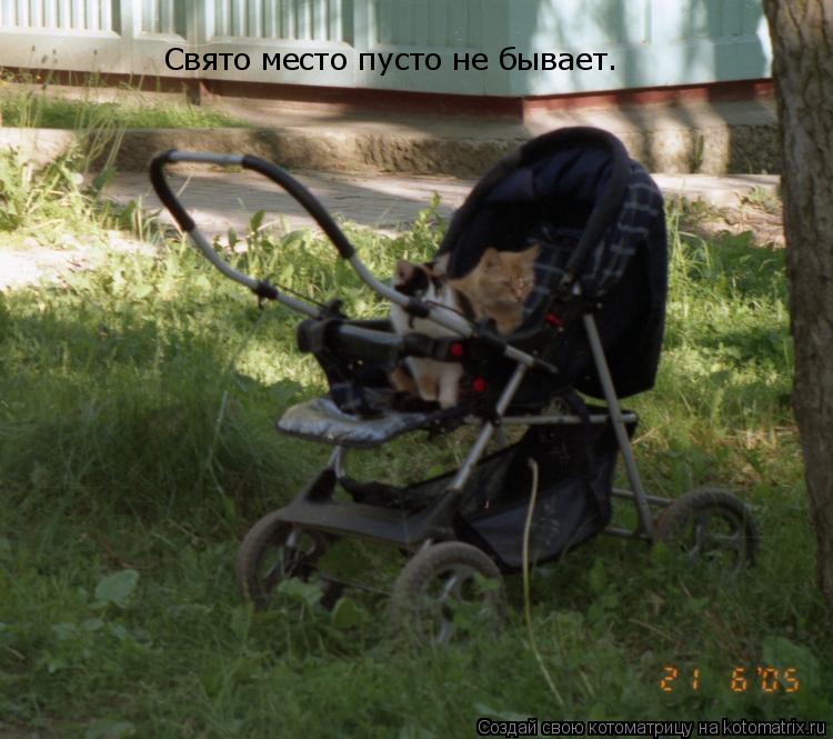 Свято место пусто не бывает.... Котоматрица: Свято место пусто не бывает.