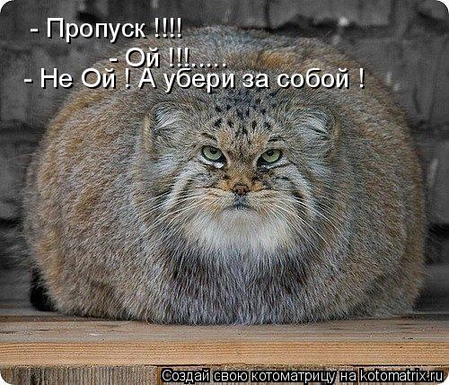 - Пропуск !!!! - Ой !!!..... - Не Ой ! А убери за собой !... Котоматрица: - Пропуск !!!! - Ой !!!..... - Не Ой ! А убери за собой !