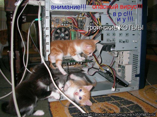 опасный вирус!!! внимание!!! в р с!!! и у !!! троянские КОТЫЫ... Котоматрица: опасный вирус!!! внимание!!! в р с!!! и у !!! троянские КОТЫЫ