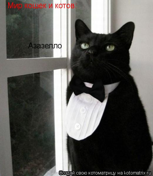 Мир кошек и котов: Азазелло... Котоматрица: Мир кошек и котов: Азазелло