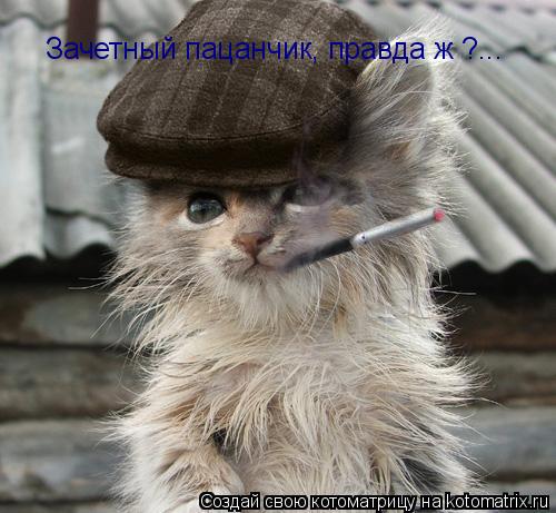 Котоматрица: Зачетный пацанчик, правда ж ?...