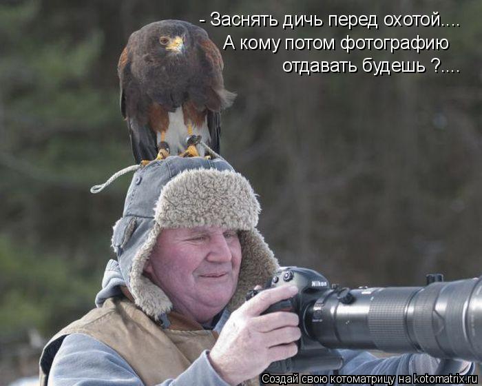 - Заснять дичь перед охотой.... А кому потом фотографию отдавать будешь ?....... Котоматрица: - Заснять дичь перед охотой.... А кому потом фотографию отдавать будешь ?....