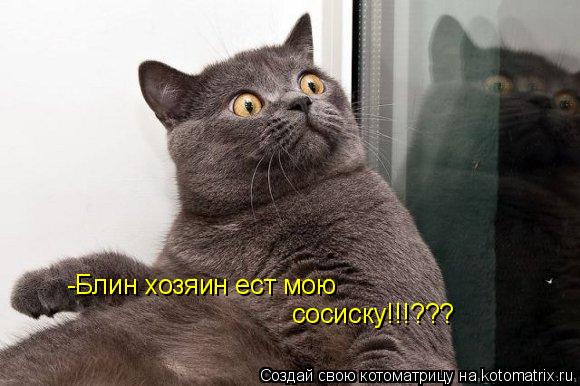 -Блин хозяин ест мою сосиску!!!???... Котоматрица: -Блин хозяин ест мою сосиску!!!???