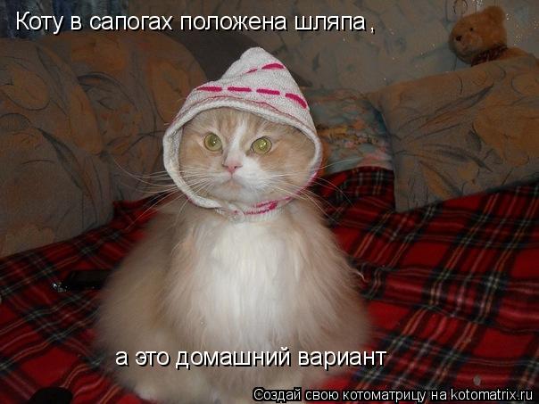 Коту в сапогах положена шляпа а это домашний вариант ,... Котоматрица: Коту в сапогах положена шляпа а это домашний вариант ,