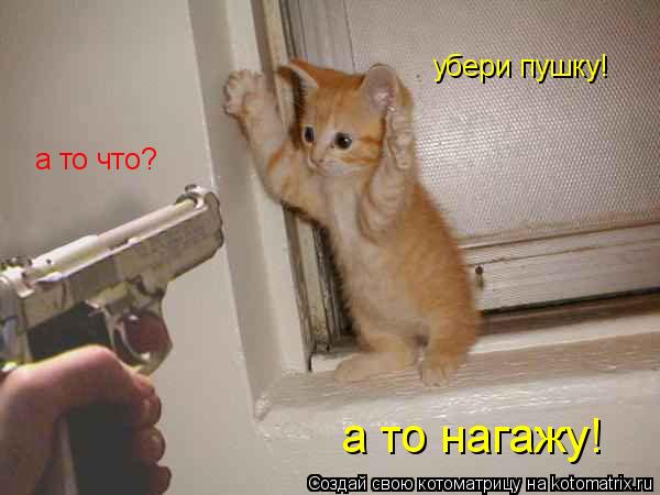 Котоматрица: убери пушку! а то что? а то нагажу!
