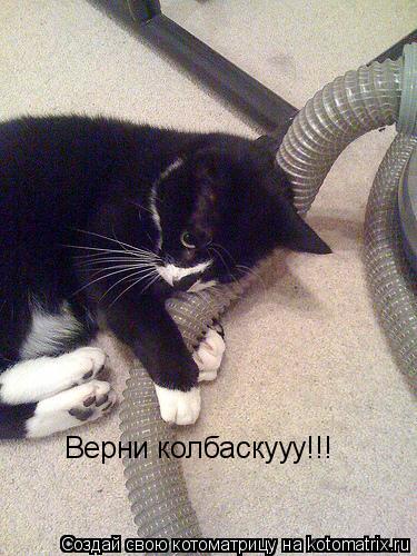 Котоматрица: Верни колбаскууу!!!