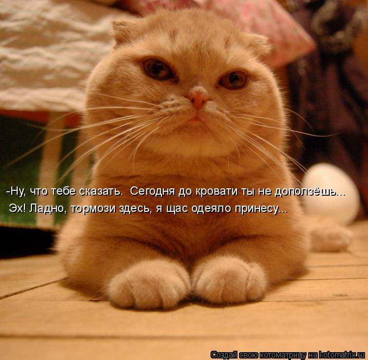 Котоматрица: -Ну, что тебе сказать.  Сегодня до кровати ты не доползёшь... Эх! Ладно, тормози здесь, я щас одеяло принесу...