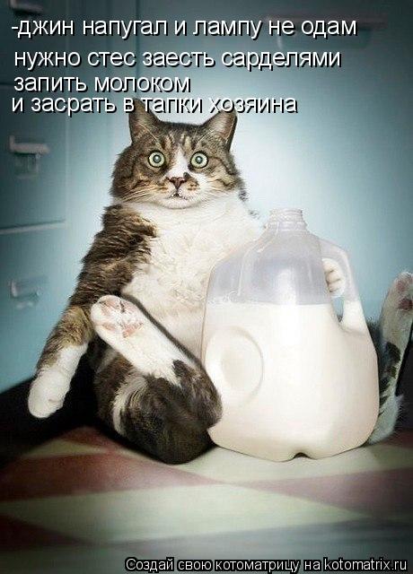 Котоматрица: -джин напугал и лампу не одам  нужно стес заесть сарделями запить молоком  и засрать в тапки хозяина