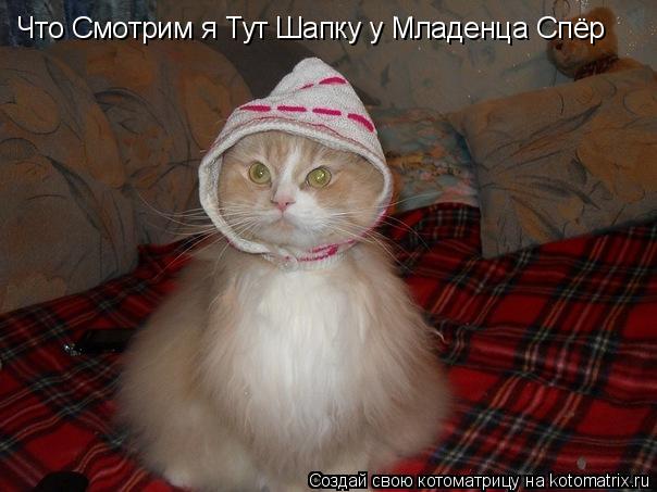 Котоматрица: Что Смотрим я Тут Шапку у Младенца Спёр