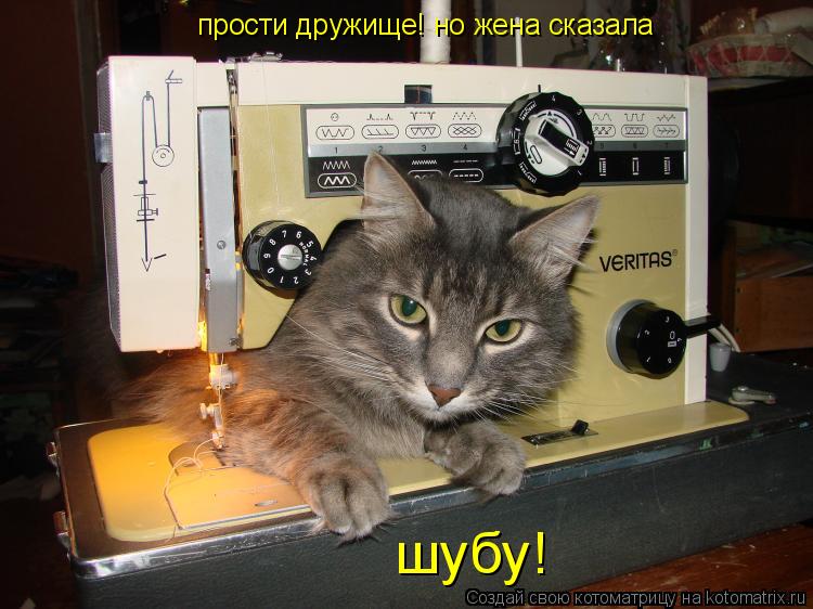Котоматрица: прости дружище! но жена сказала  шубу!