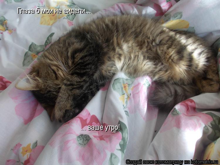 Котоматрица: Глаза б мои не видели... ... ваше утро!