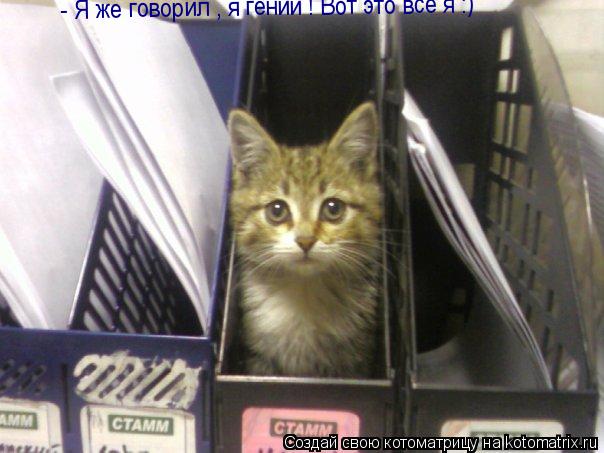 - Я же говорил , я гений ! Вот это всё я :)... Котоматрица: - Я же говорил , я гений ! Вот это всё я :)
