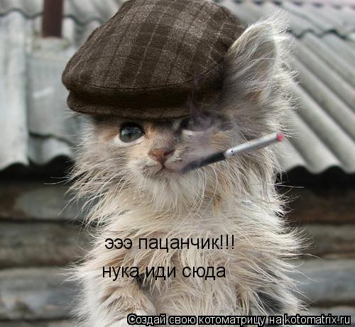 эээ пацанчик!!! нука иди сюда... Котоматрица: эээ пацанчик!!! нука иди сюда