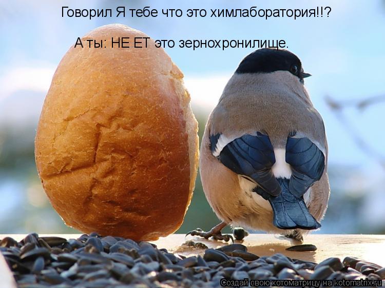 Говорил Я тебе что это химлаборатория!!? А ты: НЕ ЕТ это зернохронилище.... Котоматрица: Говорил Я тебе что это химлаборатория!!? А ты: НЕ ЕТ это зернохронилище.