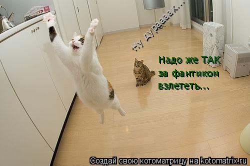 Надо же ТАК за фантиком взлететь... Ну дураааак...... Котоматрица: Надо же ТАК за фантиком взлететь... Ну дураааак...