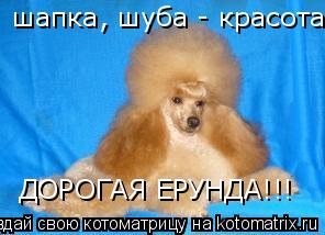 шапка, шуба - красота шапка, шуба - красота ДОРОГАЯ ЕРУНДА!!!... Котоматрица: шапка, шуба - красота шапка, шуба - красота ДОРОГАЯ ЕРУНДА!!!