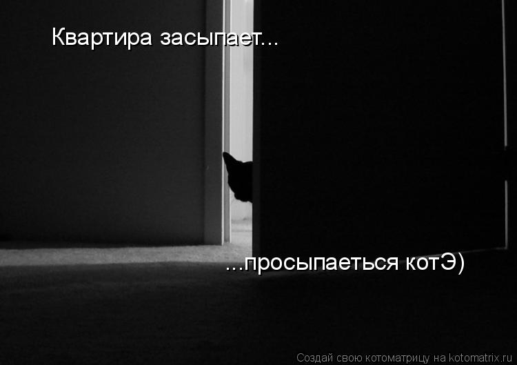 Квартира засыпает... ...просыпаеться котЭ)... Котоматрица: Квартира засыпает... ...просыпаеться котЭ)