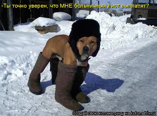 -Ты точно уверен, что МНЕ больничный лист выплатят?... Котоматрица: -Ты точно уверен, что МНЕ больничный лист выплатят?