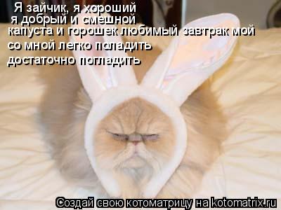 мой любимый зайчик картинки