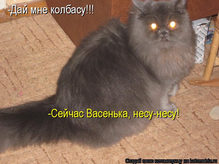 -Дай мне колбасу!!! -Сейчас Васенька, несу-несу! -Сейчас Васенька, несу-несу!... Котоматрица: -Дай мне колбасу!!! -Сейчас Васенька, несу-несу! -Сейчас Васенька, несу-несу!