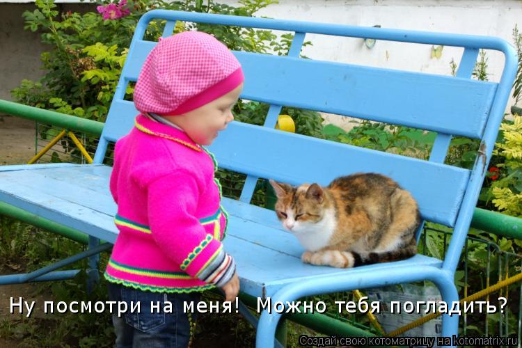 Ну посмотри на меня! Можно тебя погладить?... Котоматрица: Ну посмотри на меня! Можно тебя погладить?