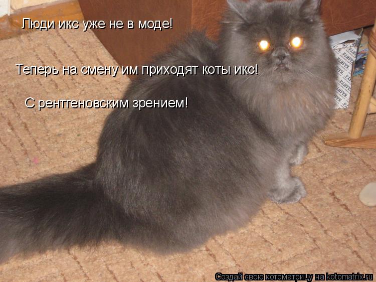 Люди икс уже не в моде! Теперь на смену им приходят коты икс! С рентгеновским зрением!... Котоматрица: Люди икс уже не в моде! Теперь на смену им приходят коты икс! С рентгеновским зрением!