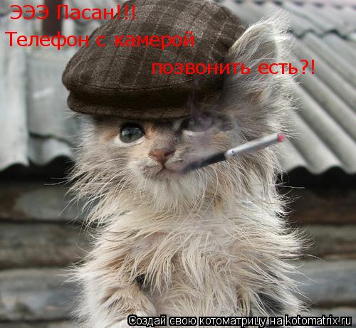 ЭЭЭ Пасан!!! Телефон с камерой позвонить есть?!... Котоматрица: ЭЭЭ Пасан!!! Телефон с камерой позвонить есть?!