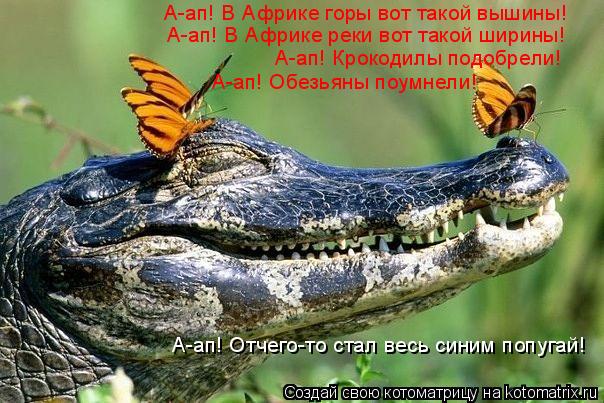 А-ап! В Африке горы вот такой вышины! А-ап! В Африке реки вот такой ширины! А-ап! Крокодилы подобрели... Котоматрица: А-ап! В Африке горы вот такой вышины! А-ап! В Африке реки вот такой ширины! А-ап! Крокодилы подобрели! А-ап! Обезьяны поумнели! А-ап! Отчего-то ст