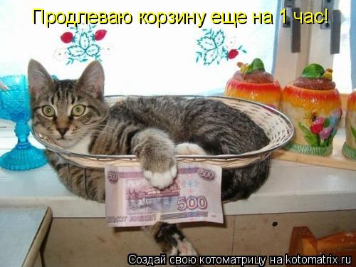 Продлеваю корзину еще на 1 час!... Котоматрица: Продлеваю корзину еще на 1 час!